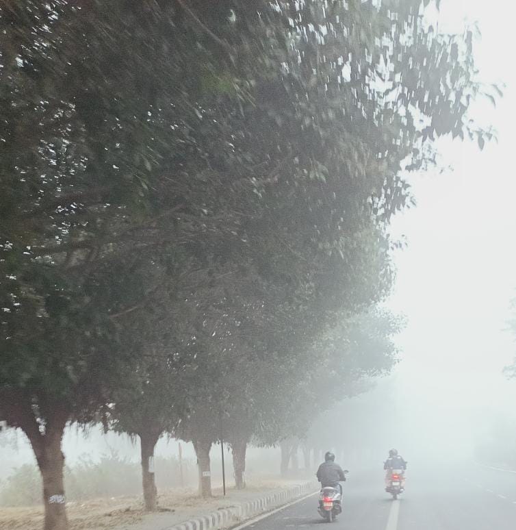 कोहरे की चादर में लिपटा उत्तर भारत: Delhi Weather