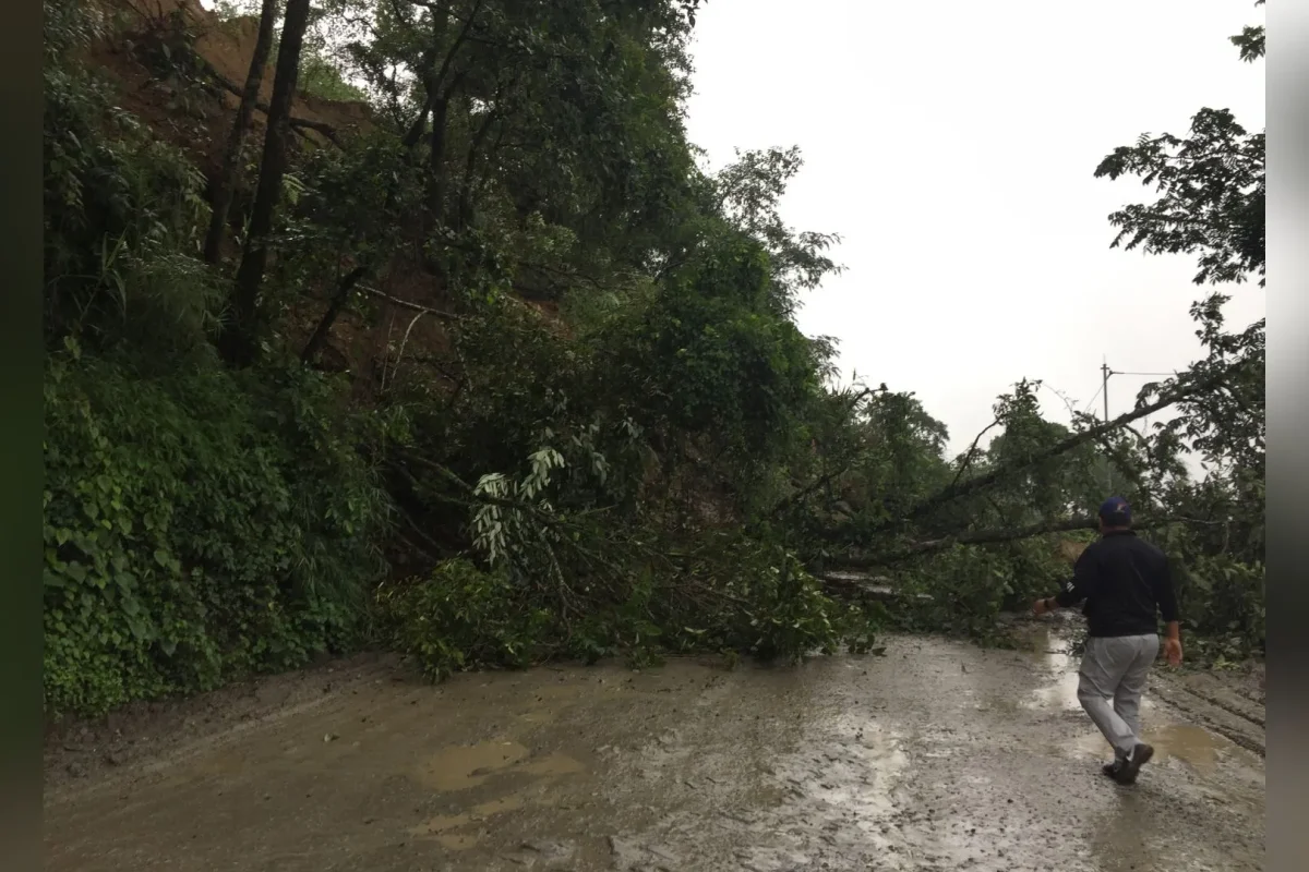 Nagaland Mudslide Claims Six Lives, Many Missing