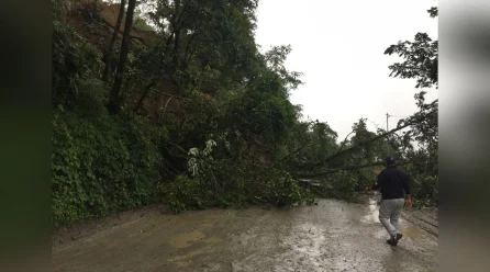 Nagaland Mudslide Claims Six Lives, Many Missing