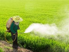 Insecticides India Sets Rs 200 Crore Target in Madhya Pradesh