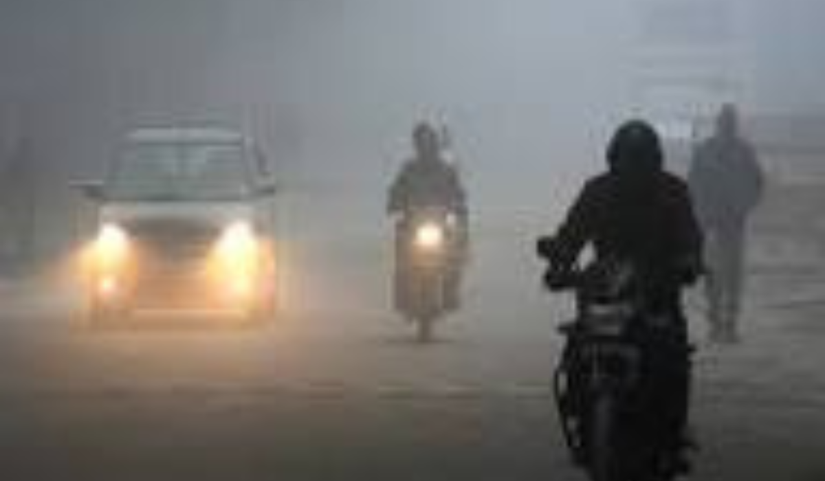 IGI Airport Issues Advisory as Very Dense Fog Hits UP, Haryana, Madhya Pradesh, and Punjab
